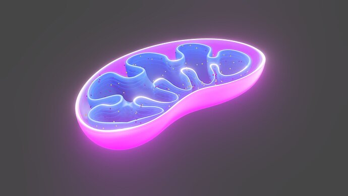 mitochondria-1
